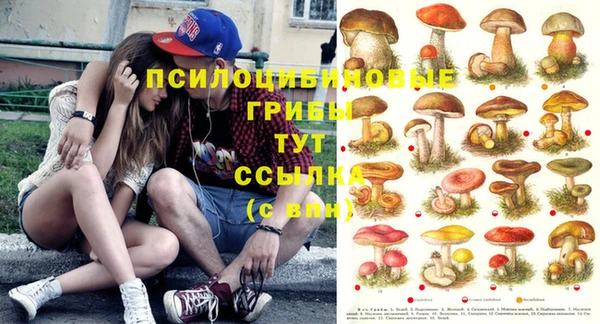 прущий лед Армянск