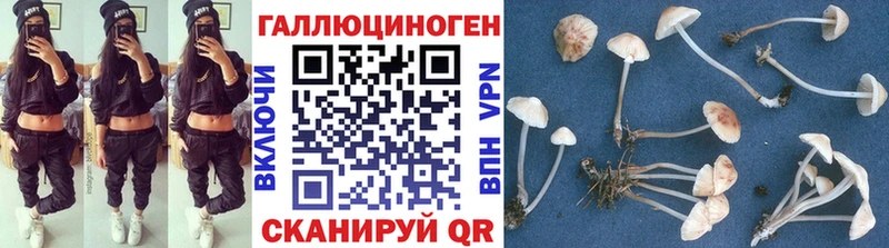 Псилоцибиновые грибы Psilocybe  Иннополис 